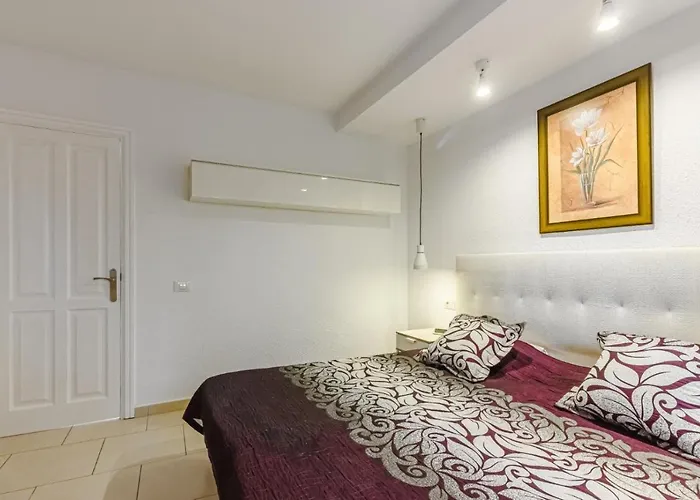 公寓 Cristianos Royal Gardens 美洲海滩